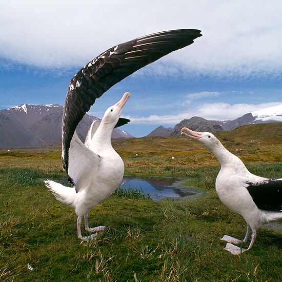 Ektas photos André Fatras